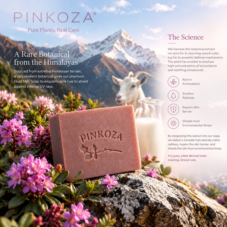 PINKOZA pink goat milk soap bar resting on a rock surrounded by Himalayan flowers, with a snowy mountain and white goat in the background, alongside text explaining its skin barrier repair benefits.